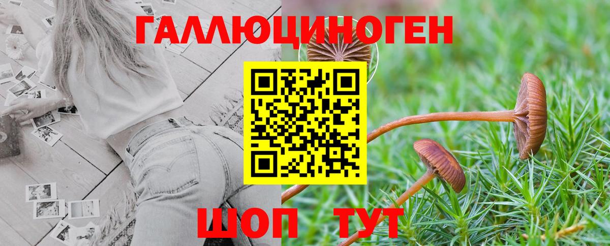 Галлюциногенные грибы мицелий  Вход с VPN  Миасс 