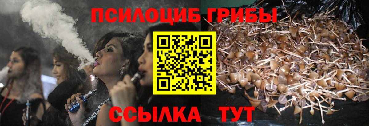 Галлюциногенные грибы прущие грибы Миасс